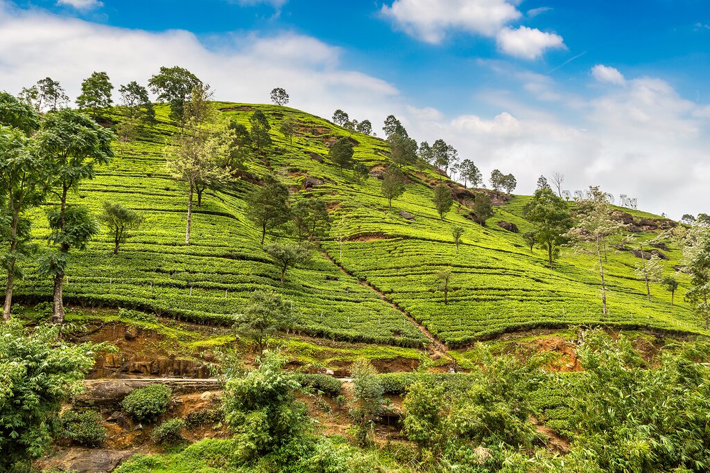 Ceylon Serenity Circuit – Hills, Heritage & Coast Escape